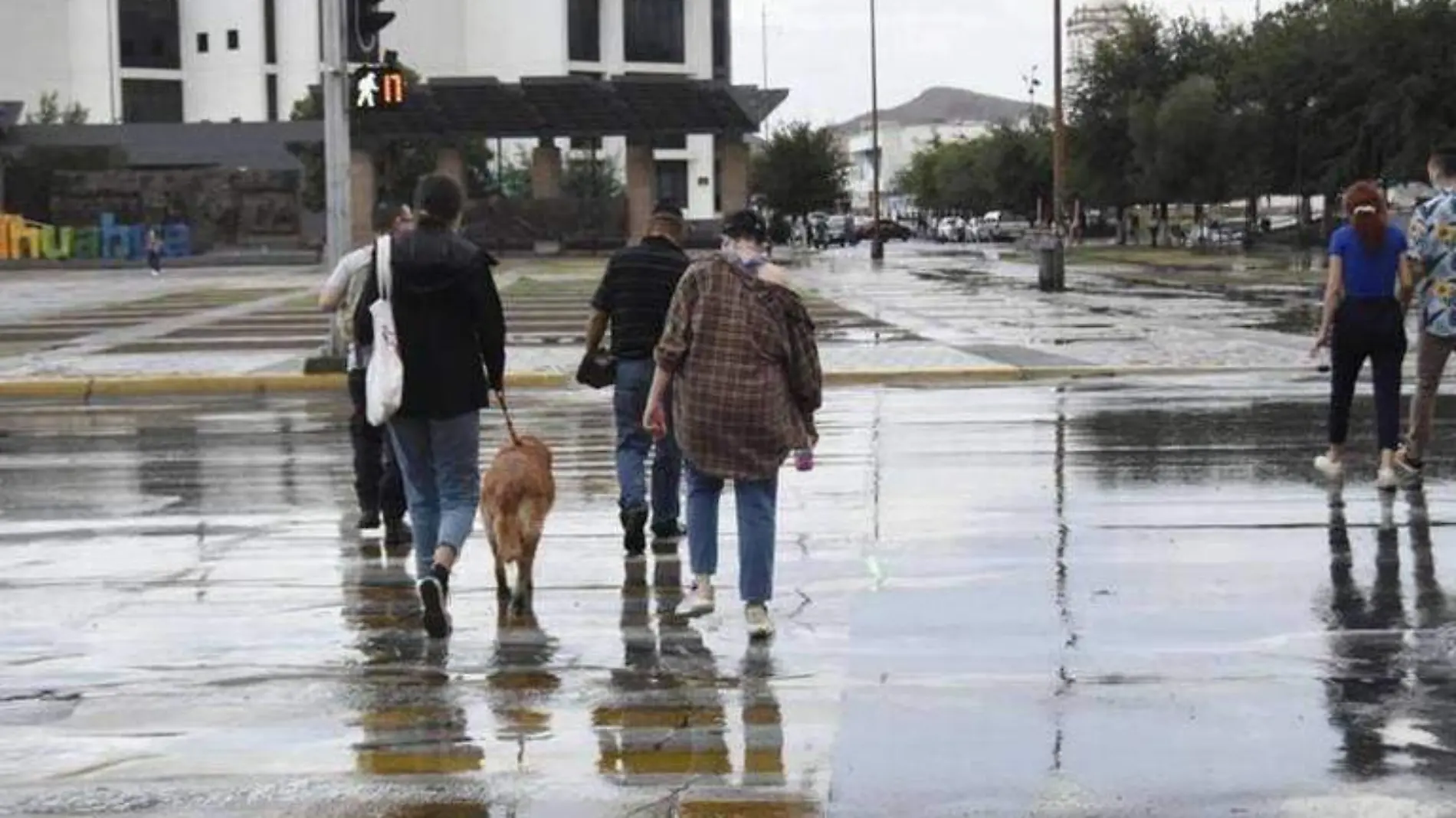 LLUVIA CHIHUAHUAOKOK